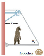 A hungry 700 N bear walks out on a beam in an attempt to retrieve some ...