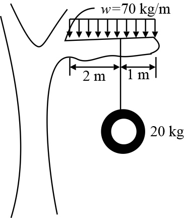 A tire swing of mass 20 kg hangs from a horizontal tree limb. The tree ...