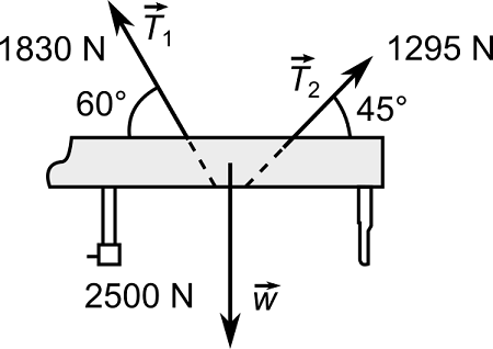 Two Ropes Experiment The two ropes seen in the below figure are used to lower a 255 kg piano ...