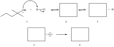 Draw the major intermediates and organic products formed for each of ...