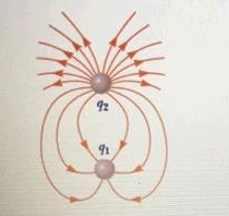 The figure below shows the electric field lines for two point charges ...
