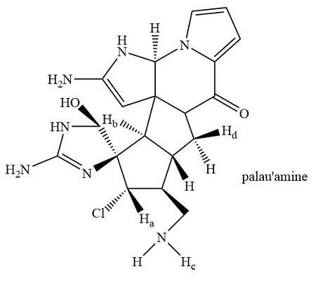 Adele S New Look When Plastic Surgery Is Disguised As Weight Loss