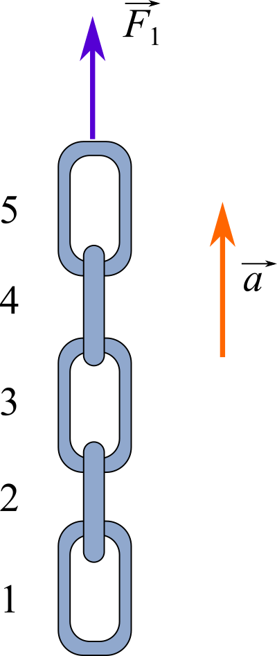 Weight Unit Chain In the figure below, a chain consisting of five links, each with a mass ...