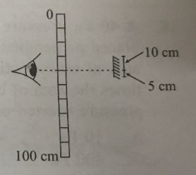 A metre ruler is held vertically in front of a plane mirror of length ...