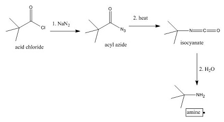 Draw the organic product for the reaction below. | Homework.Study.com