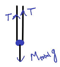 The Hanging Rope Problem Two vertical hanging ropes are used to make a swing. Calculate the ...