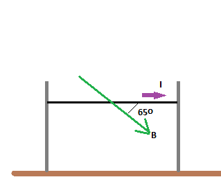 Horizontal Power A horizontal power line of length 47 m carries a current of 1.9 kA as ...