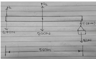 A hungry bear weighing 670 N walks out on a beam in an attempt to ...
