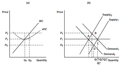 When a firm in a competitive market, like the one depicted in panel (a ...