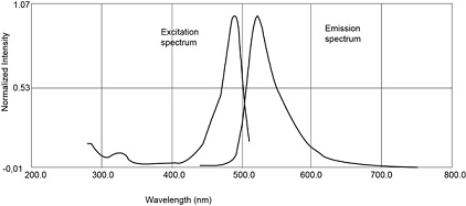 What Is Excitation And Emission Wavelength