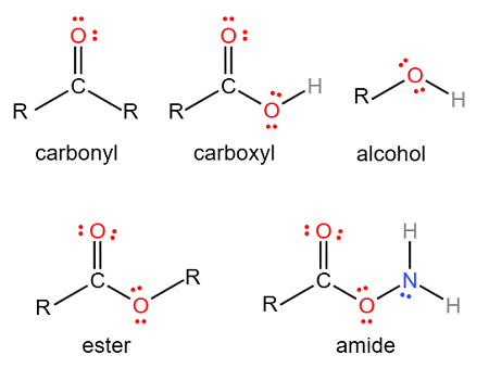 Carbonyl Functional Group Carbonyl Functional Group