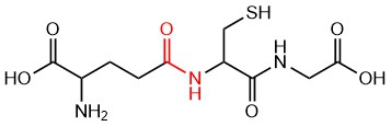 Why does glutathione have an unusual peptide bond between the carboxyl  group of the glutamate side-chain and the amine group of cysteine?