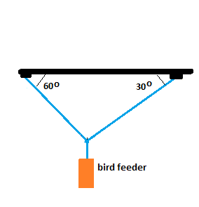 A 150N Bird Feeder: Elevate Your Birdwatching Experience