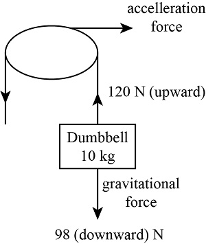 Develop a question in which you are required to draw a free-body ...