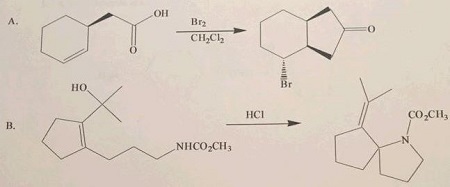 Propose a reasonable mechanism for each of the following reactions ...