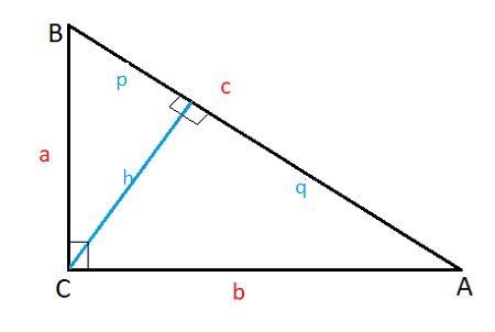 Find x in the triangle below | Homework.Study.com
