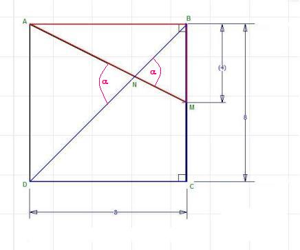 Square ABCD has 8-inch sides, M is the midpoint of BC, and N is the ...