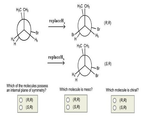 You built two models of (R)-2-bromobutane. You replaced H_a with Br on ...