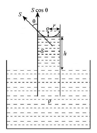 The lower end of a capillary tube of radius r is placed vertically in ...