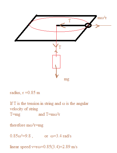 An air puck of mass 0.19 kg is tied to a string and allowed to revolve ...