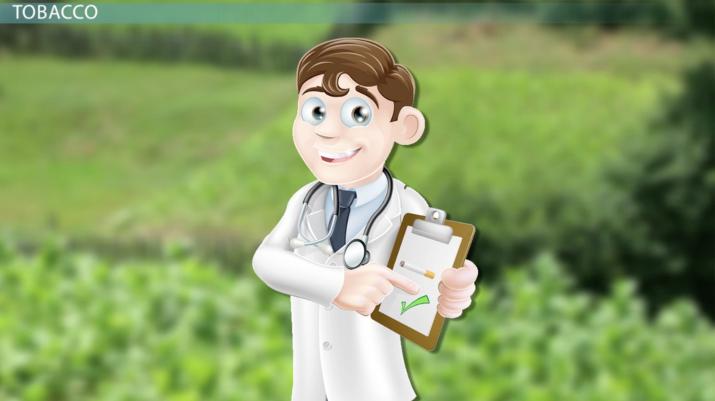 tobacco powder for plants tobacco as fertilizer Tobacco Dust Organic Fertilizer and Pest Repellent  for Garden Plants